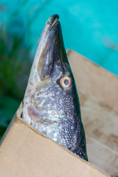 Similar image 7491610