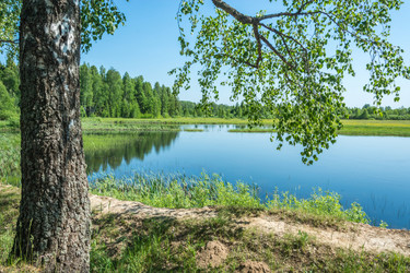 Similar image 7491613