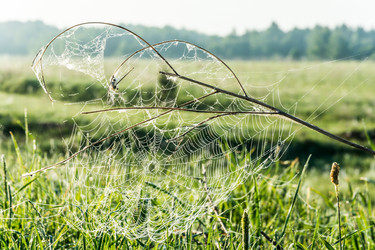 Similar image 7491622