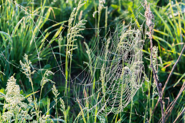 Similar image 7491623