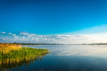 Similar image 7491624