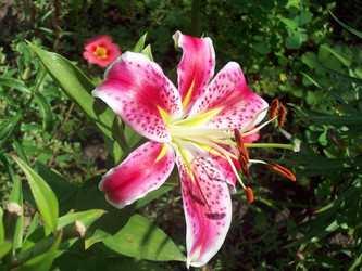 Similar image 7491667