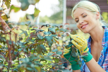 Similar image 7491775