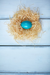 Similar image 7491792