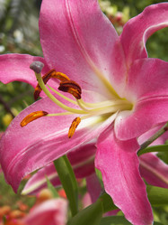 Similar image 7491978