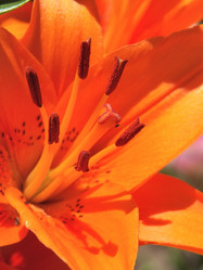 Similar image 7491979