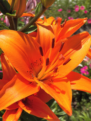 Similar image 7491980