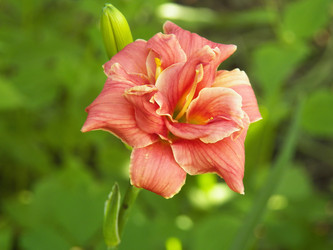 Similar image 7491981