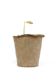 Similar image 7492001