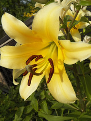 Similar image 7492003