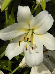 Similar image 7492016