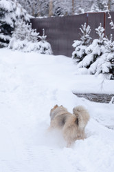 Similar image 7492017