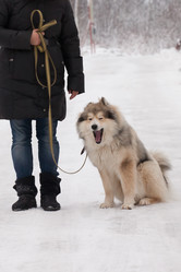 Similar image 7492018