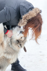 Similar image 7492021