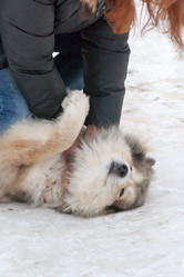 Similar image 7492022