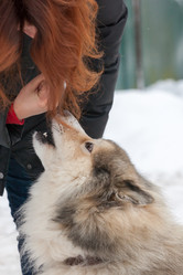 Similar image 7492023