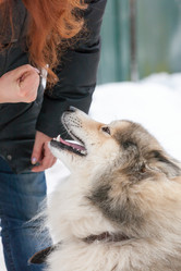 Similar image 7492024