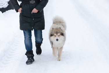 Similar image 7492025