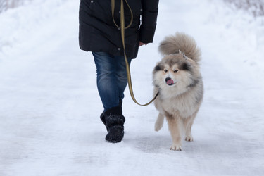 Similar image 7492026