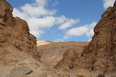 Similar image 7492029