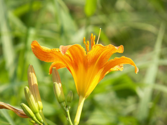 Similar image 7492036