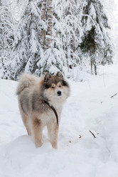 Similar image 7492037