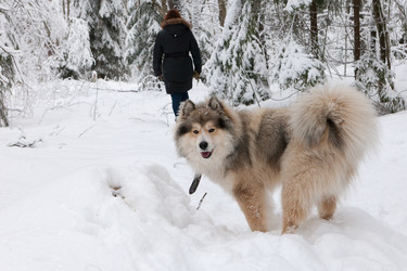 Similar image 7492038