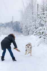 Similar image 7492039