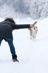 Similar image 7492040