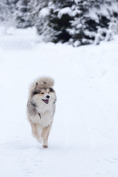 Similar image 7492042