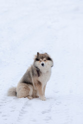 Similar image 7492043