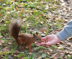 Similar image 7492078