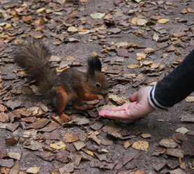 Similar image 7492079