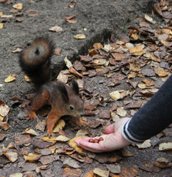 Similar image 7492080