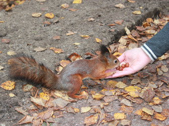 Similar image 7492081