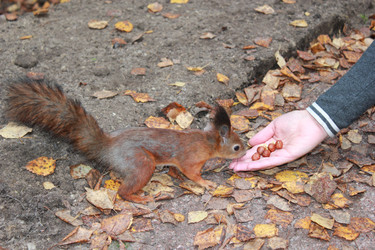 Similar image 7492082