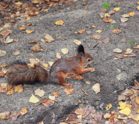 Similar image 7492083