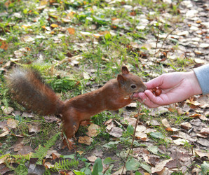 Similar image 7492086