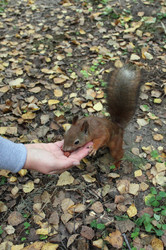 Similar image 7492087