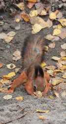 Similar image 7492088