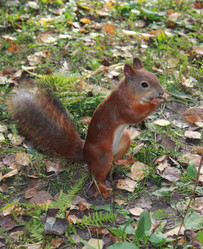 Similar image 7492089