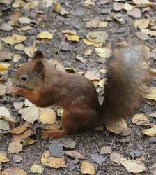 Similar image 7492090