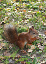 Similar image 7492091