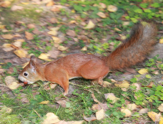 Similar image 7492092