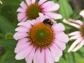 Similar image 7492103