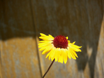 Similar image 7492123