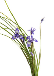 Similar image 7492130