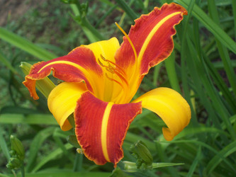 Similar image 7492131