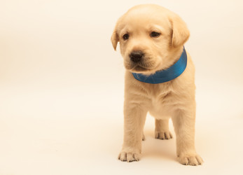 Similar image 7492142