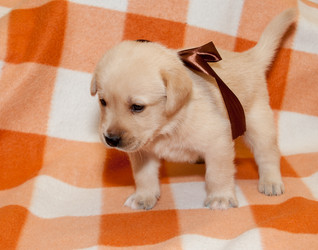 Similar image 7492144